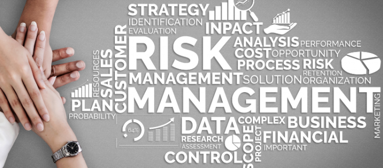 Immagina dove compare la parola Risk Management intersecata con altre parole correlate come Rischio e Opportunità.